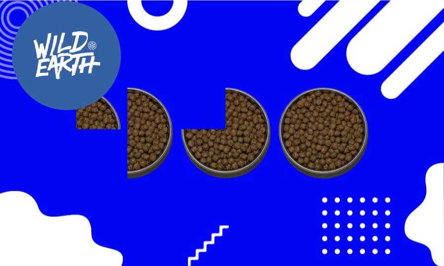 How (and Why) to Transition your Dog to a New Food