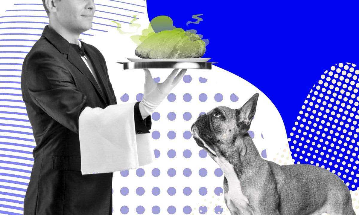 myths about raw meat dog food