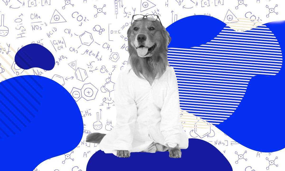 benefits of yeast in dog food