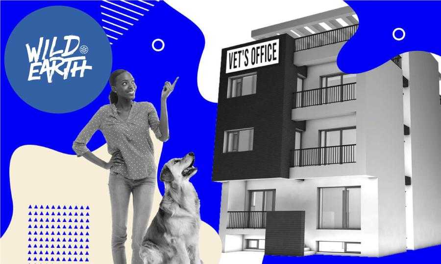 questions you should ask your vet