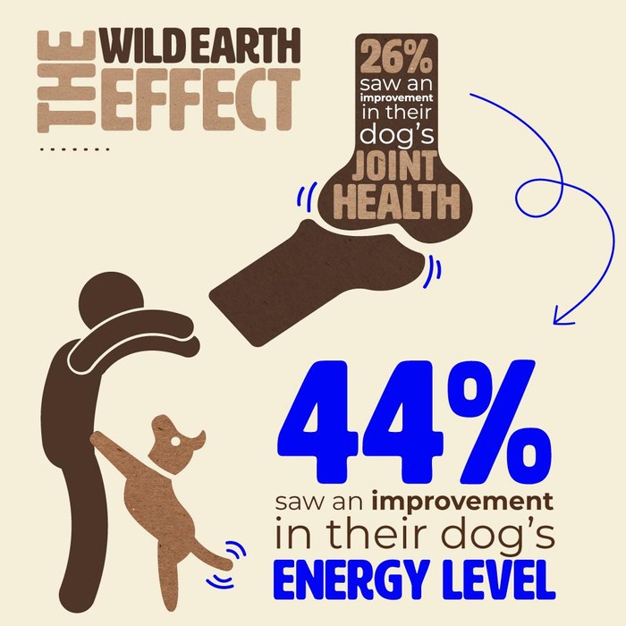 Wild Earth Dog Food Impact On Joint Health