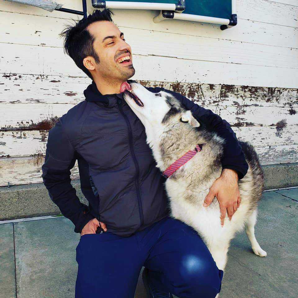 lessons learned from ABC's Shark Tank