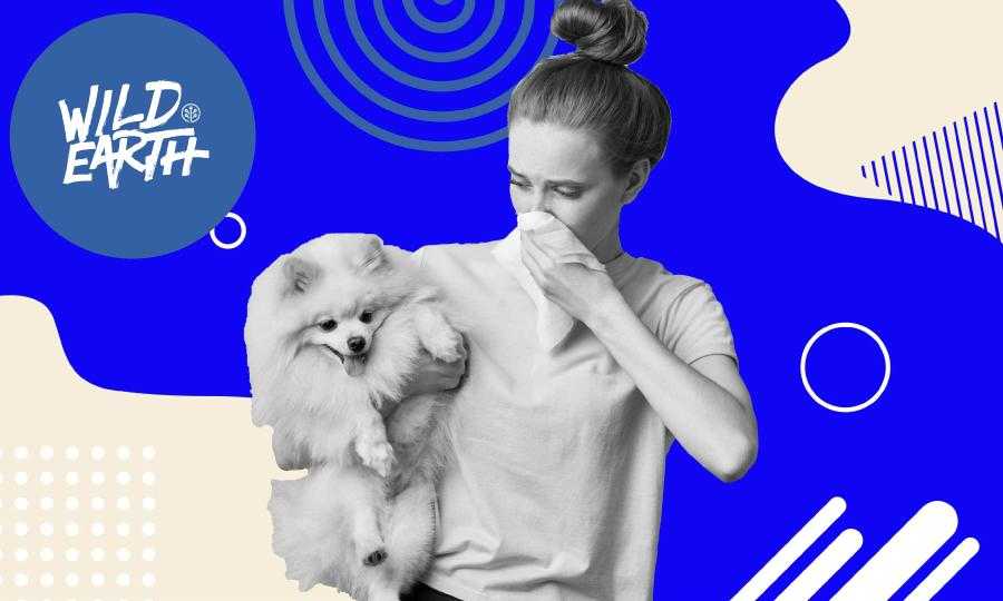 Dr. Ernie Ward: Coronavirus and you Pet: What's Important to Know