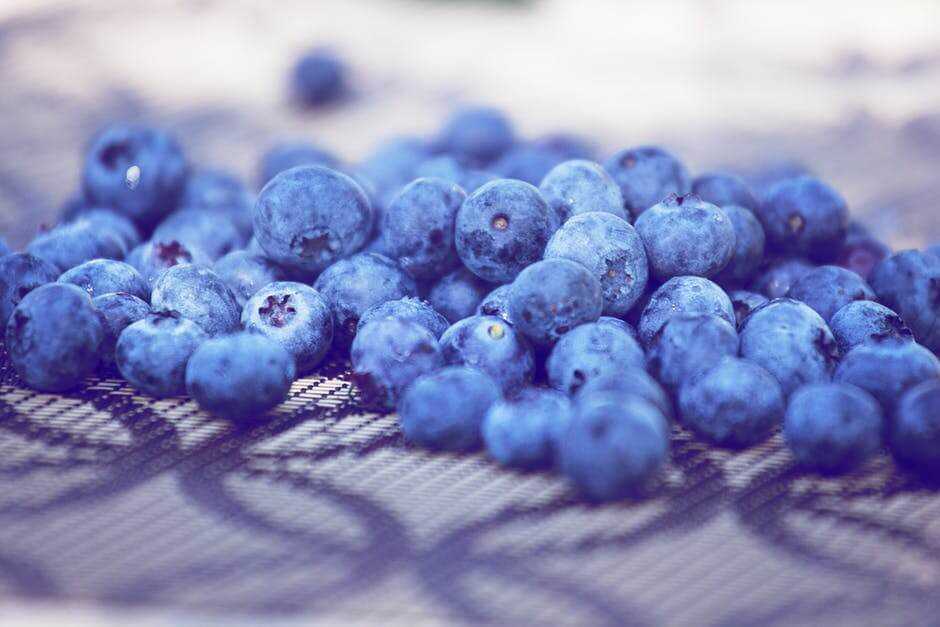 Are Blueberries as Good for Dogs as They are for You?