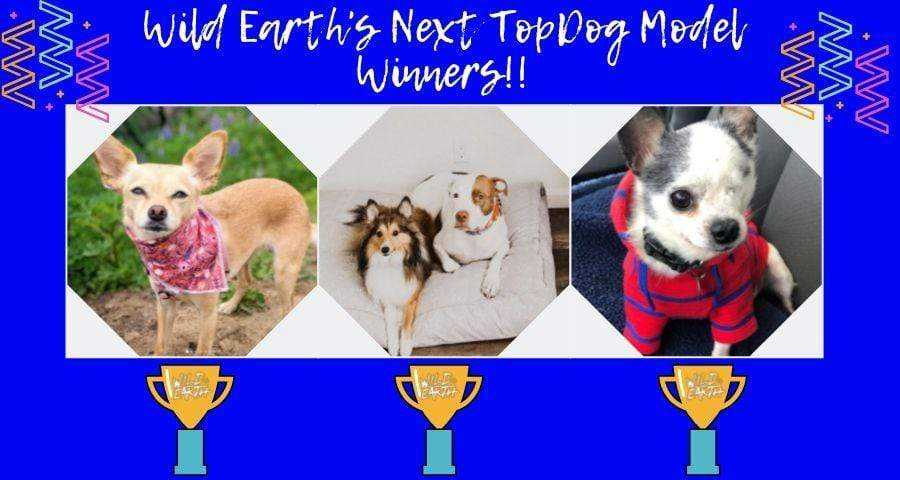 wild earth top dog models