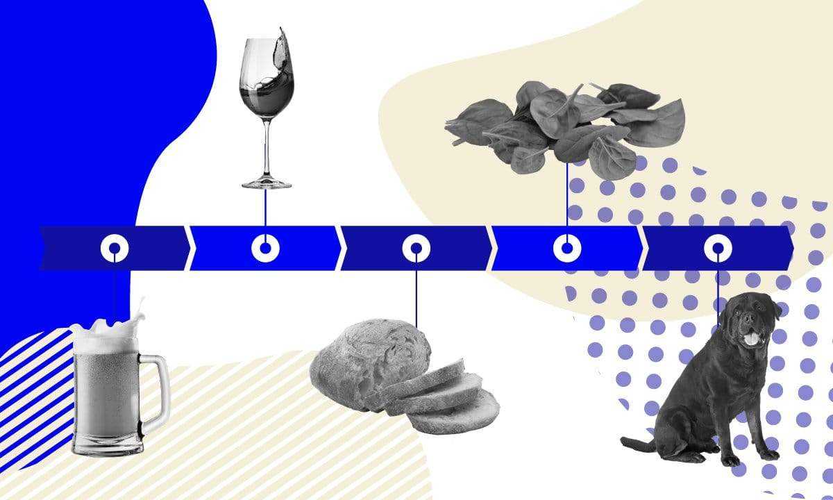 history of yeast in food