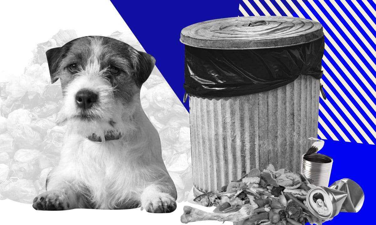 environmental impacts of dog food