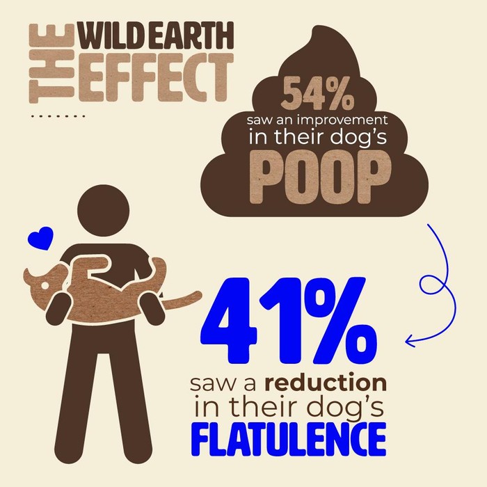 Wild Earth Dog Food Impact On Digestion