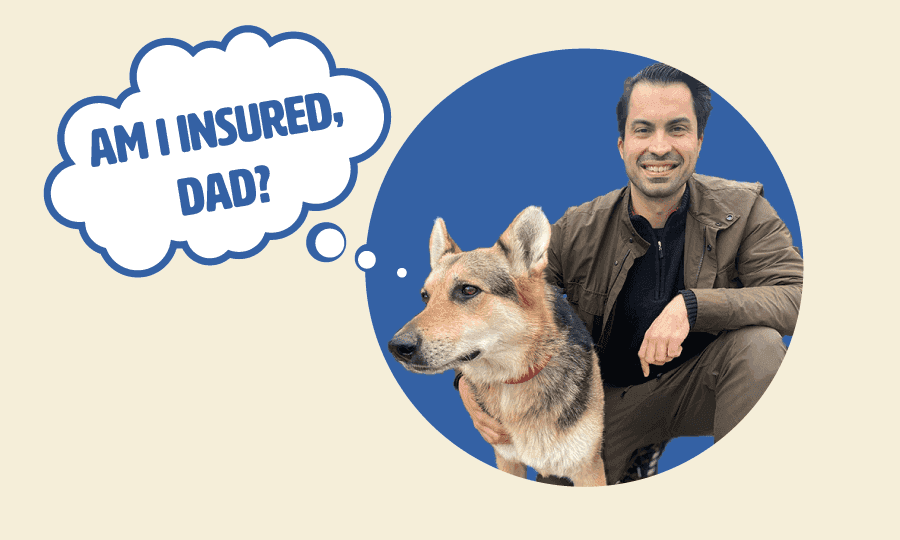 ryan from wild earth and pet insurance