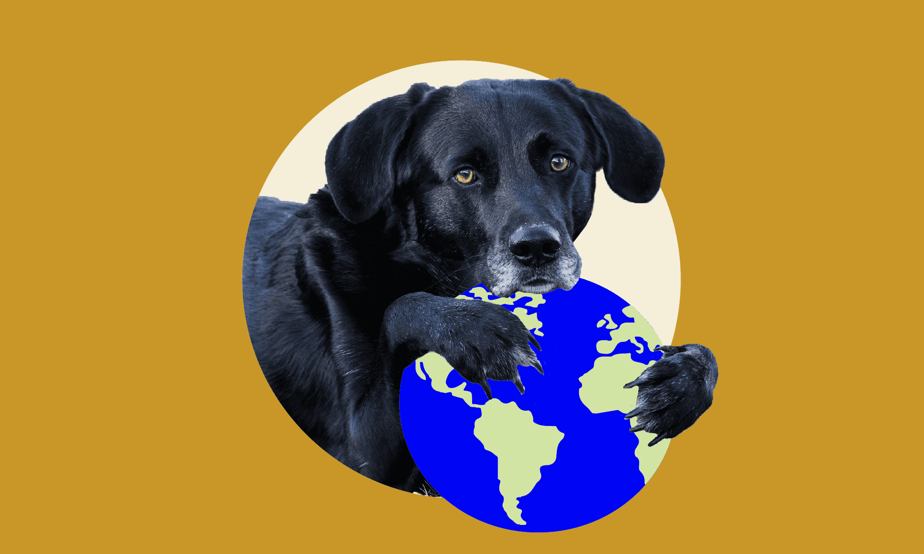 wild earth is good for your dog and the planet