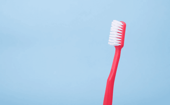 brown puppies just born