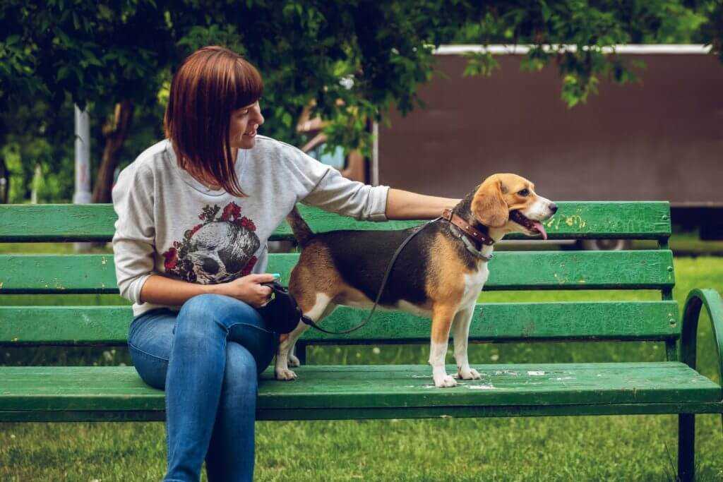 woman with beagle on park bench