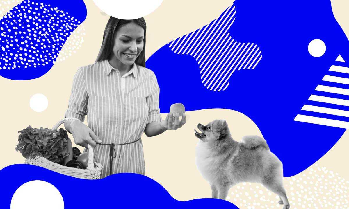 dog vitamins and minerals